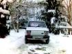 kispolszki nagy hóban:)